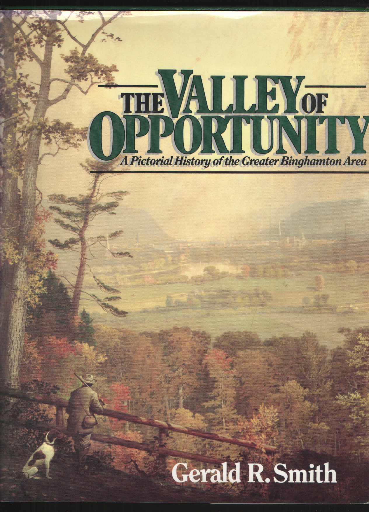 The Valley Of Opportunity A Pictorial History Of The Greater Binghamton ...